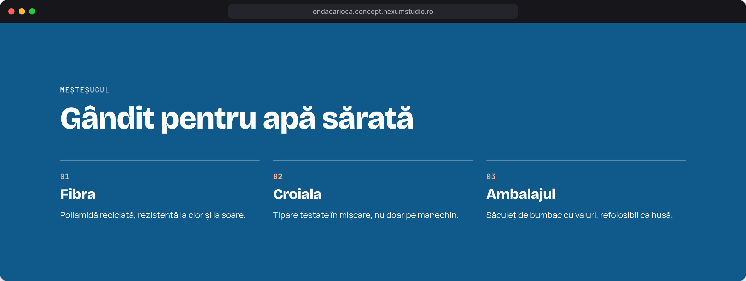 ONDA CARIOCA: Meșteșugul, desktop